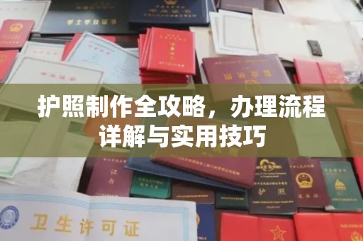 宁晋护照制作全攻略，办理流程详解与实用技巧